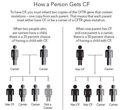 What is the probability of two cystic fibrosis carriers having a child with cystic fibrosis?

A. 0%