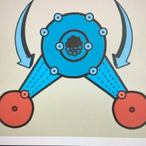 Consider this diagram of one water molecule. the arrows are pointing to two regions between oxygen