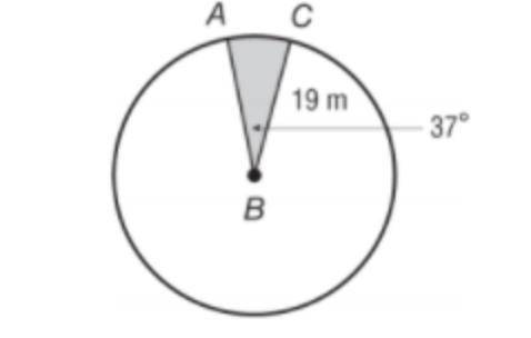 Find the area of the shaded sector. Round to the nearest tenth.