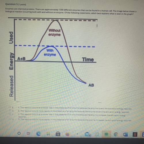 enzymes are chemical proteins there are approximately 1300 different enzymes that can be found in t