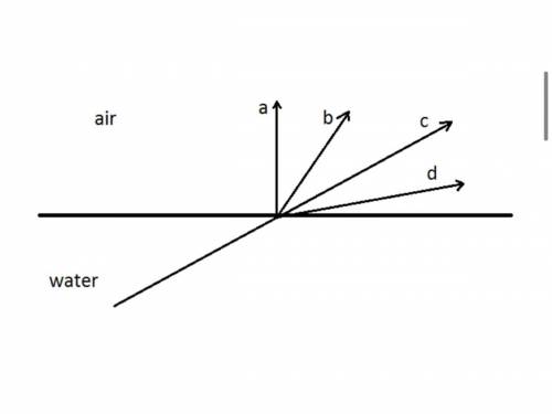 Which of the following paths, shown below, might light follow when passing from below water into th