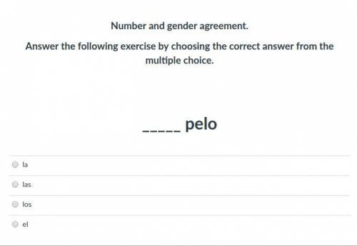 Number and gender agreement.