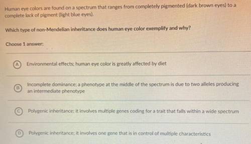 Human eye colors are found on a spectrum that ranges from completely pigmented (dark brown eyes) to