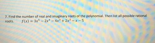 Find the number of real and imaginary roots of the polynomial. Then list all possible rational root