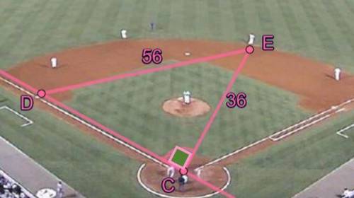 URGENT: While at a baseball game, Damian and Anita were attempting to determine the distance from p