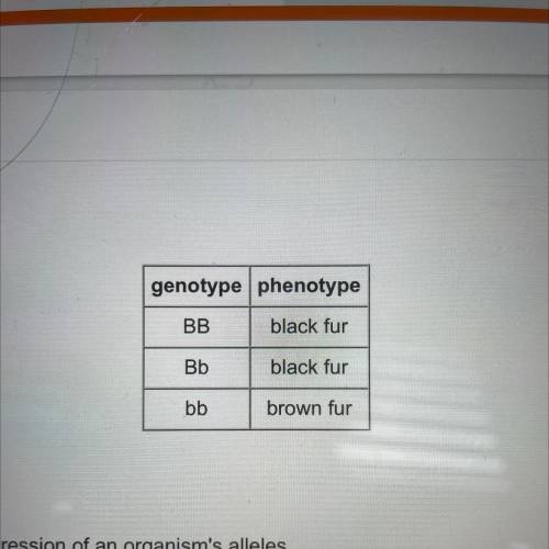 Examine the chart shown below.

genotype phenotype
BB black fur
Bb
black fur
bb
brown fur
What doe