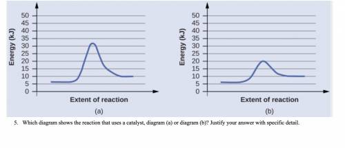 Which diagram shows the reaction that uses a catalyst, diagram (a) or diagram (b)? Justify your ans