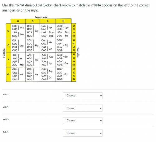 PLs, help me with this biology question, please! (I will mark brainliest)