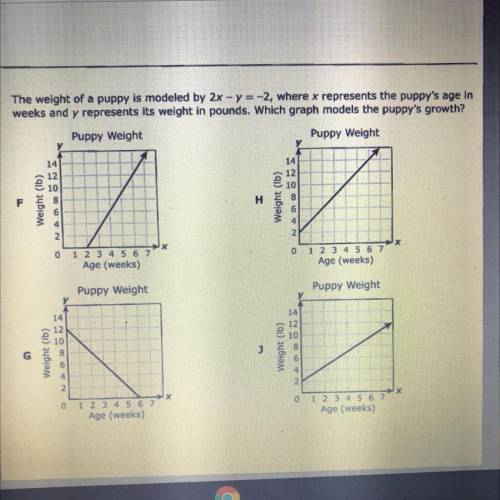The weight of a puppy is modeled by 2x - y=-2, where x represents the puppy's age in

weeks and y