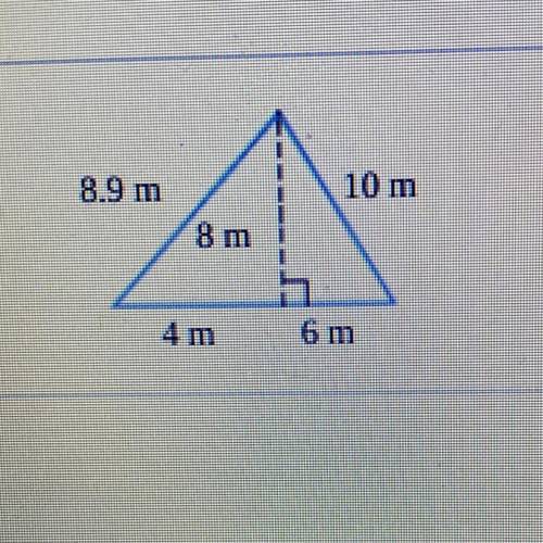 Find the area of the
triangle.
Area=__m^2
