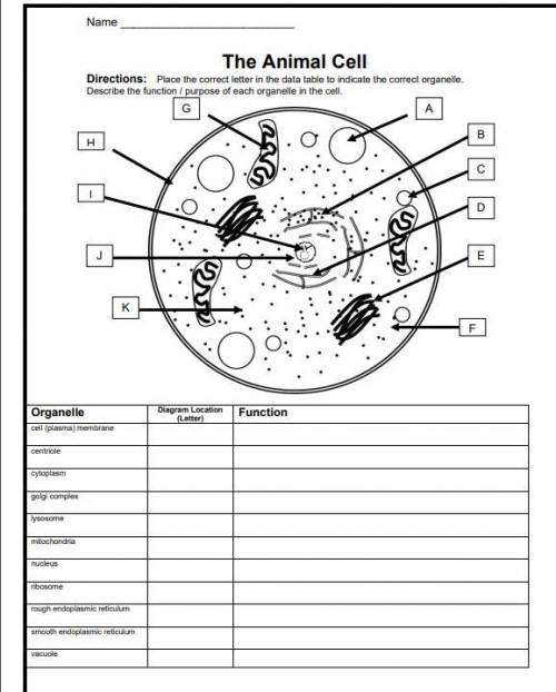 Help pls it's about cells