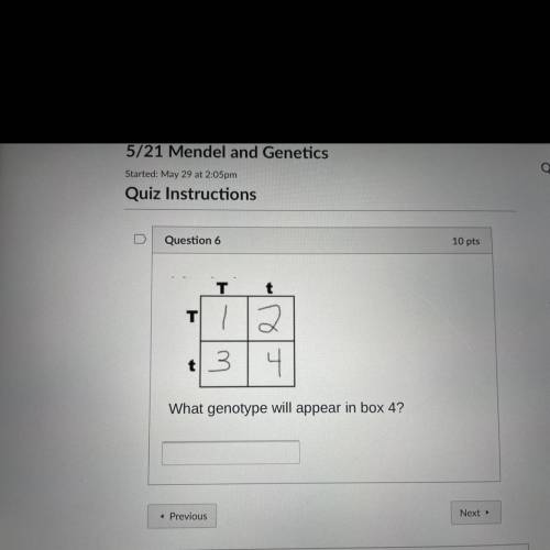 What genotype will appear in box 4?