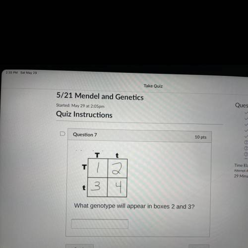 What do genotype will appear in boxes 2 and 3?