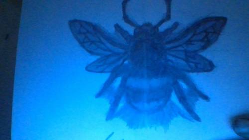 Why can i not draw a bee. i am so bad at drawing bees. ra te my ugly bee 1-10