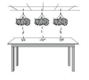 The diagram below shows three plants hanging over a table. A student watered the plants and observe