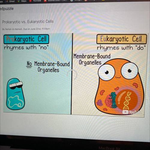 Which type of cell does NOT contain a nucleus?
A. prokaryotic
B. eukaryotic