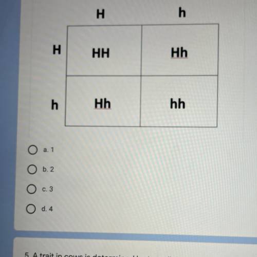 In mice, H (hairy) is dominant and h (not hairy) is recessive. Two heterozygous mice mated and the