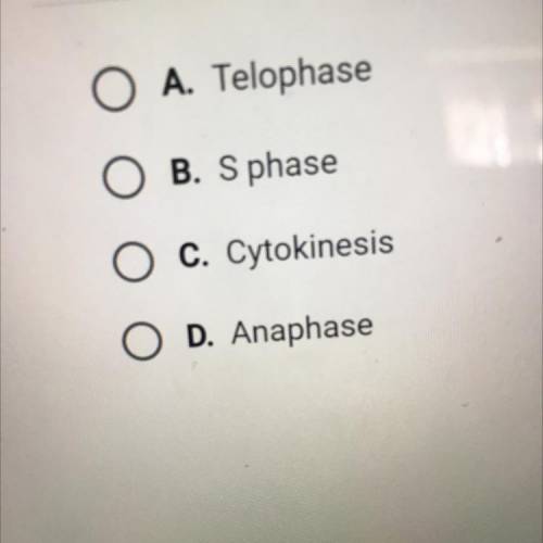 Which is a part of interphase
