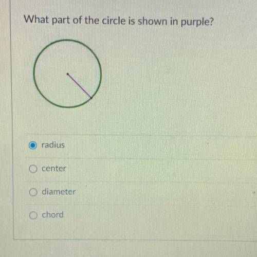 What part of the circle is shown in purple?