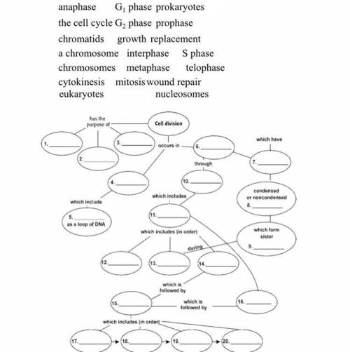 Can anyone help organize this graph