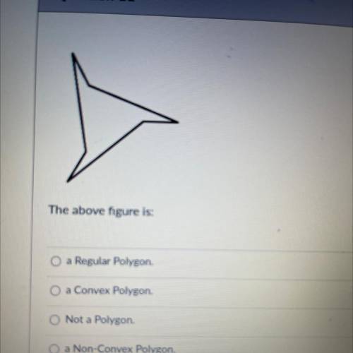The above figure is:

a Regular Polygon.
a Convex Polygon.
Not a Polygon.
a Non-Convex Polygon.
HE