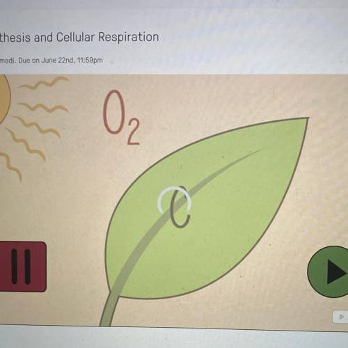 What is the name of this chemical reaction?

A. photosynthesis
B. diffusion
C. cellular respiratio