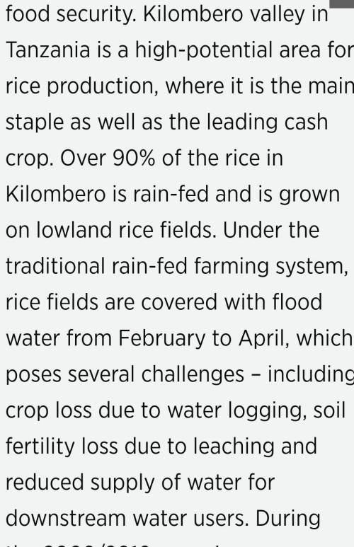 Name the major cashcrop grown in kilombero irrigation scheme in tanzania