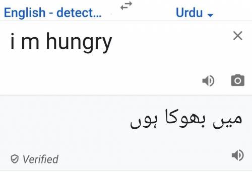 Translate i am hungry in urdu