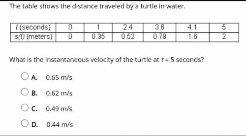 Select the correct answer.

The table shows the distance traveled by a turtle in water.What is the