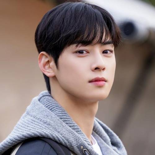 WHO HERE IS A CHA EUN WOO FANNN