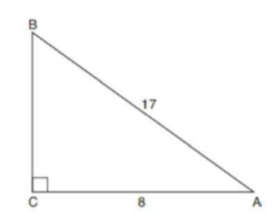 3A.What is the value of BC.

3b) Find the measure of angle CAB to the nearest tenth 
3.Explain bri