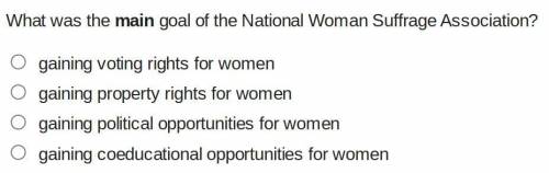 What was the main goal of the National Woman Suffrage Association?