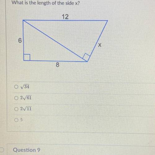 What is the length of the side x?