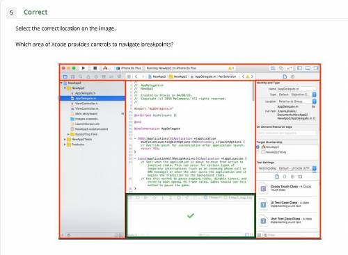 Which area of Xcode provides controls to navigate breakpoints? CORRECT