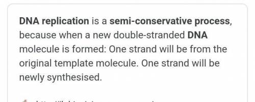 (a) Describe why DNA replication is said to be a semiconservative process. Explain how random mutati