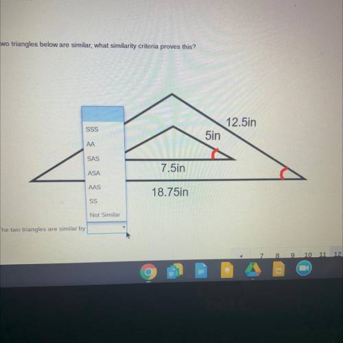 If the triangles are similar,Why similarity criteria proves this