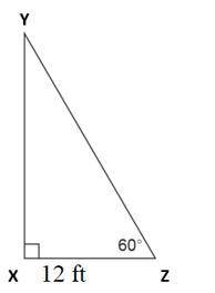 55 points:

What is the area of triangle  XYZ to the nearest tenth of a square inch? Use special