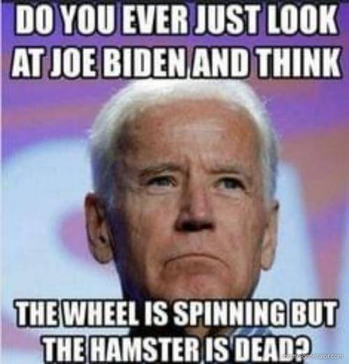 JOE BIDEN = BAD AMERICA