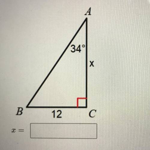 Solve for x and show your work.
• GIVING BRAINLIEST!