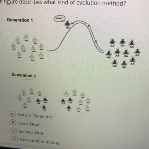 The figure describes what kind of evolution method?

A. Natural selection
B. Gene flow 
C. Genetic