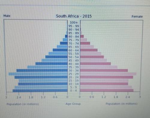 According to this population pyramid of South Africa, which group has the largest number of people?