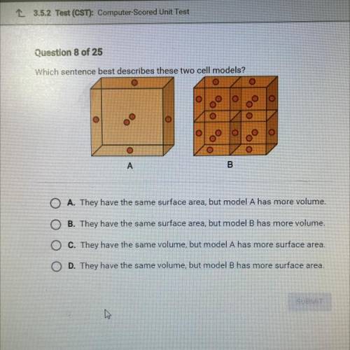 Which sentence best describes these two cell models?

A. They have the same surface area, but mode