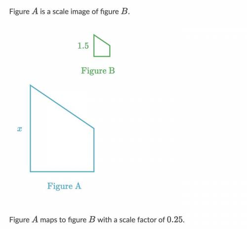 What is the value of x?