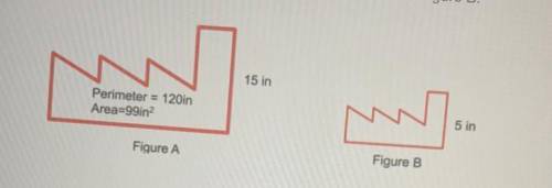 Determine the perimeter and area of figure B