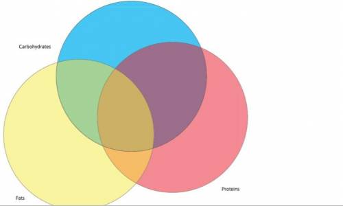 1. Compare the structure of carbohydrates, proteins, and fats using the Venn diagram.

2. Equal am