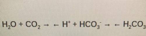 Is the reaction shown, relating carbon dioxide and pH, a reversible process?
