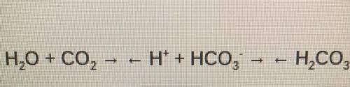 Is the reaction shown, relating carbon dioxide and pH, a reversible process? Explain