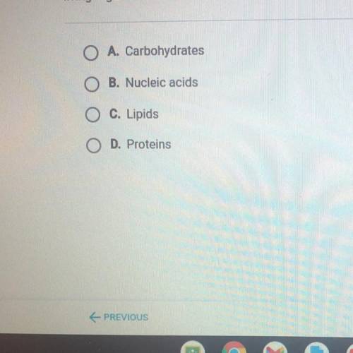 What biological molecules transport other substances, provide structural

support, cause the movem