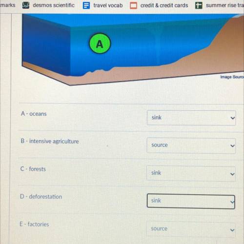 Which are carbon sinks and carbon sources?