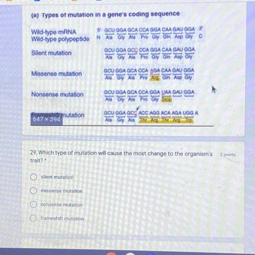 Please help,, which type of mutation will cause the most change to the organisms trait?